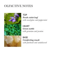 Molton Brown Volumising Conditioner With Nettle 300ml 10688194 9 Molton Brown Volumising Conditioner With Nettle 300ml 10688194 -Sportmode Geschäft 29b639b6957b3f41ea5ecfd5a6ec252638470ce8 008080160072 2bQhkYk9qOe31c