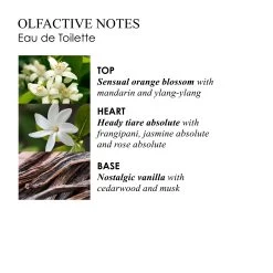 Molton Brown 100ML EDT FLORA LUMINARE 10688173 -Sportmode Geschäft 2dd4cfd0978b64459736de441b5438120398eeb8 008080153494 4Sd07V0zF6RSXW