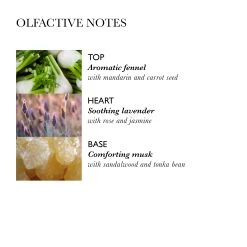 Molton Brown Intense Repairing Hair Mask With Fennel 250ml 10688192 -Sportmode Geschäft 60204eef47721e2bbd3522916de8ea541601cd28 008080160232 2XGXHiZp0Vtk9w