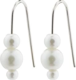 Pilgrim ELBERTA Ohrringe, Versilbert 10700049