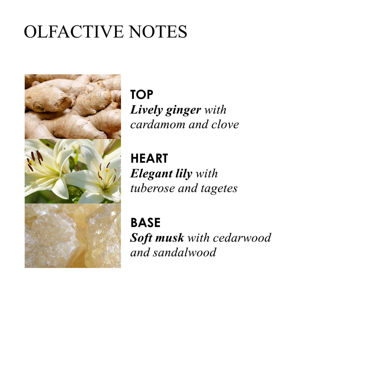 Molton Brown HEAVENLY GINGERLILY BATH & SHOWER GEL 10688142 6 Molton Brown HEAVENLY GINGERLILY BATH & SHOWER GEL 10688142 – Bild 4