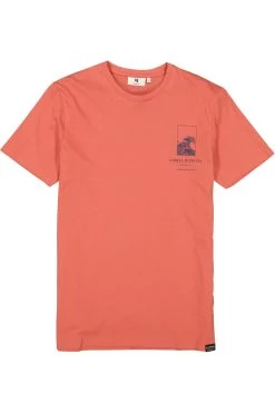 Garcia T-Shirts E31001 10702042