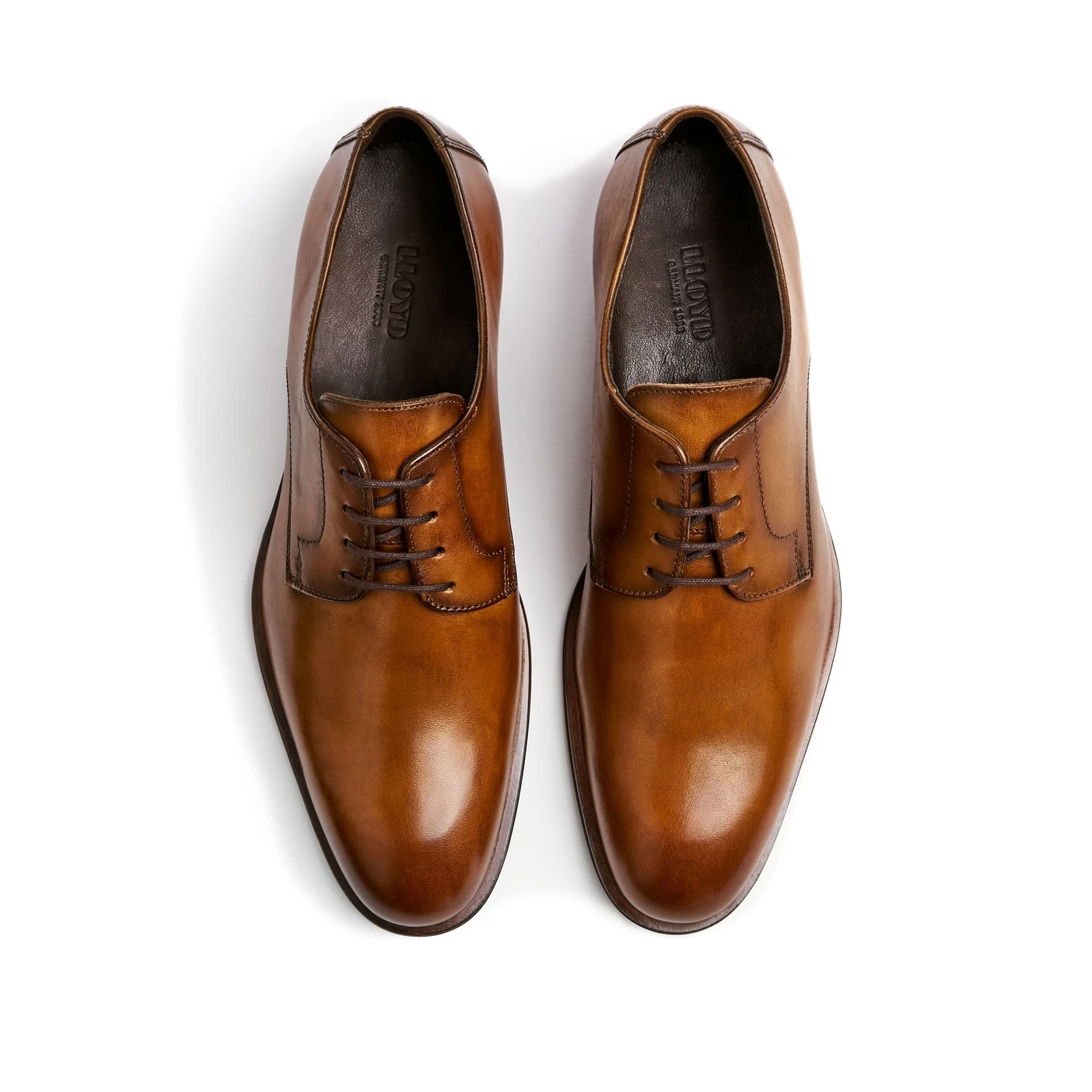 Lloyd SABRE 10718840 4 Lloyd SABRE 10718840 – Bild 2