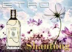 ETRO Shantung EdP 10687836 -Sportmode Geschäft cf7f0a8a2e79a1872643be137747c01abdab91b3 8026247609266 Etro Shantung Eau de Parfum Visual 8